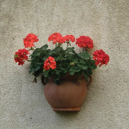 Δωμάτια σε οικογενειακή κατοικία Muskatlis Haz