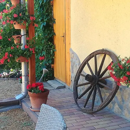 Homestay Muskatlis Haz
