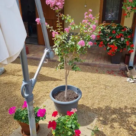 Δωμάτια σε οικογενειακή κατοικία Muskatlis Haz Balatonlelle