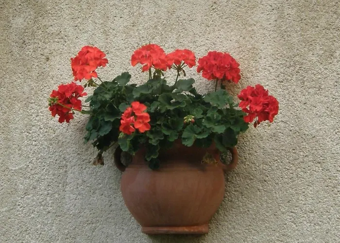 ホームステイ Muskatlis Haz