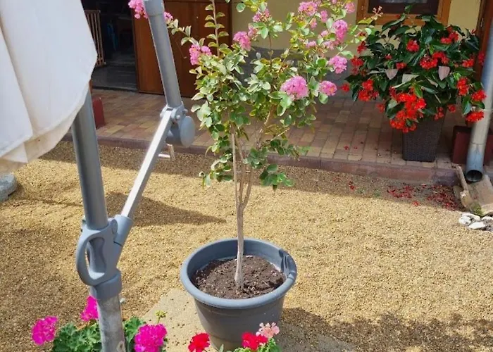 ホームステイ Muskatlis Haz バラトンレッレ